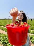 Strawberry Basil Syrup 8oz