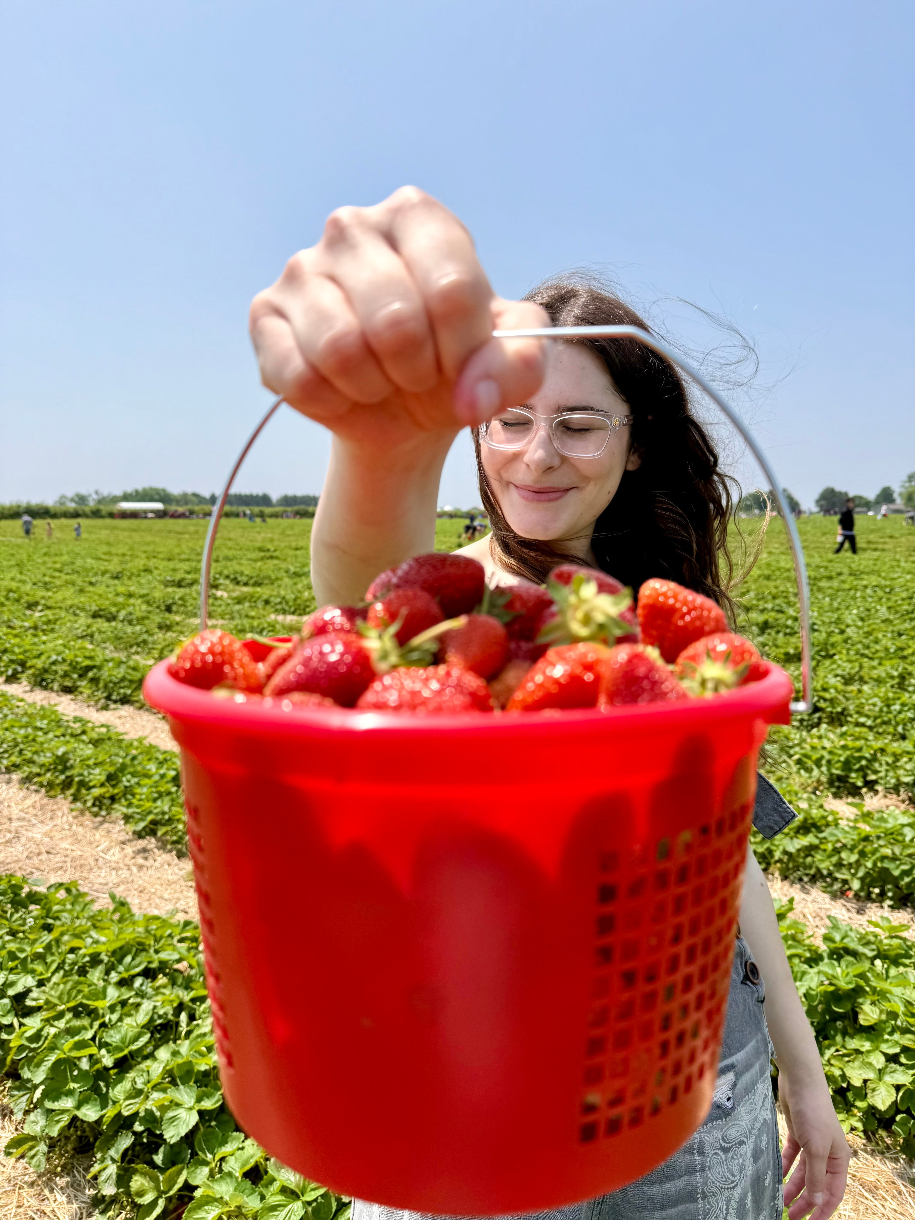 Strawberry Basil Syrup 8oz